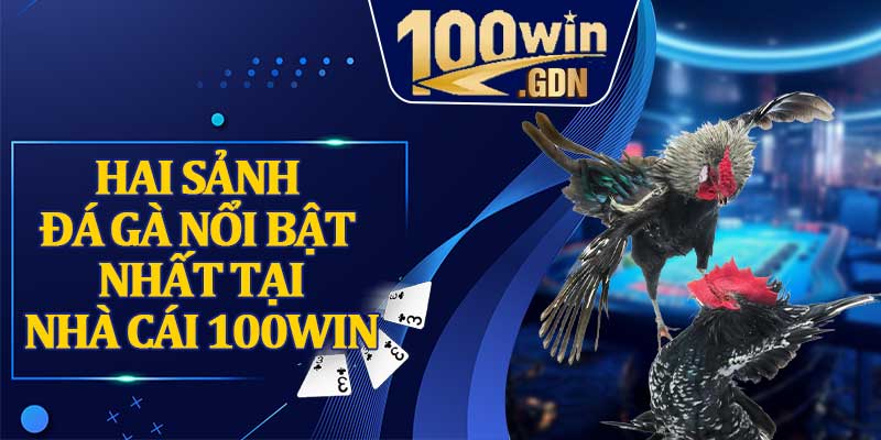 Hai sảnh đá gà nổi bật nhất tại nhà cái 100WIN