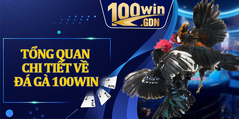 Tổng quan chi tiết về đá gà 100WIN